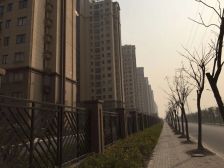 海棠花园,东首户,双卫大户型,楼层好,采光好,诚售