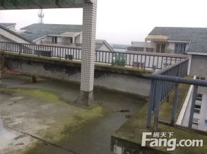 纯阳雅庭2室1厅南