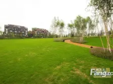 麓宸二期 5室3厅 北