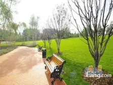 麓宸次新小区 联排别墅朝南 大花园