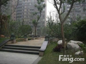 中大君悦金沙七期君逸院2室1厅东南