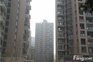 中大君悦金沙七期君逸院2室1厅西南