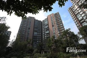 中大君悦金沙七期君逸院2室2厅西南