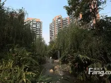 中大君悦金沙七期君逸院 2室2厅 西南