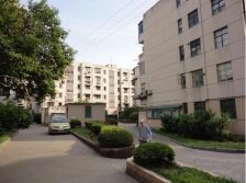 全明户型近地铁3号线淞滨地铁