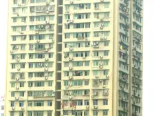 金明大厦 1室0厅 东南