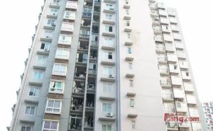 金谷温泉城2室2厅东南