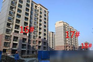 小区近高架近地铁采光好视野好业主诚心出售价可谈