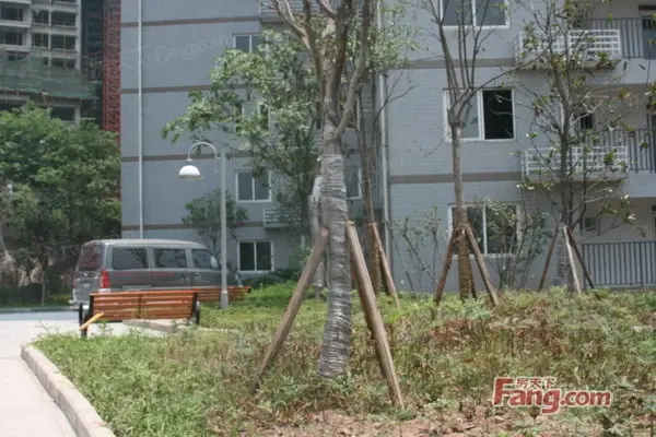 北碚澄江还建房