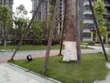 俊豪大街旁,视野开阔采光好,交通便利,生活配套完善