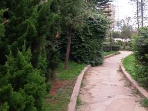 五一路如安街福照苑3室南北向武成