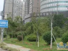 精装壹号精装六房 *大露台 红木家具 独立车位