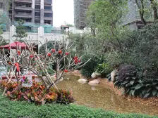 新放盘 招商1872四房 花园景观安静 单边户毛坯房