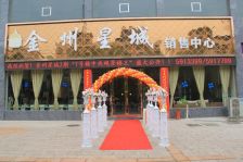 金州星城3室2厅南北