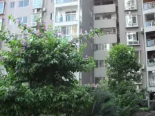 迷你星座 1室0厅 南