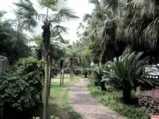 金沙海岸 4室2厅 北