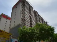 房子楼龄新·南北通透户型·视野开阔·小区绿化面积大