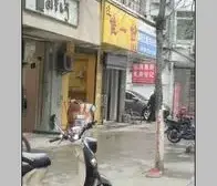 毛家园 南北通透,采光好 近地铁 视野好,诚心出售