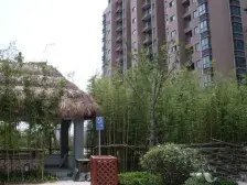 采光好 毛坯 家具全送,店长力推