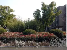 鑫山汇众苑 5室3厅 南