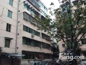 新城市花园 2室1厅 北