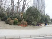 央湖名邸一期 3室2厅 南