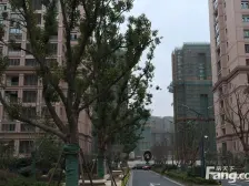 百联商圈 近金山卫 地段好