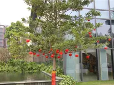 东城东空中别墅6房精装一梯一户价格有惊喜