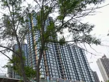 元森河景房毛坯房两室,有钥匙,可随时看房