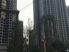 正规四房无浪费 视野开阔 环境舒适 交通便利 居家安静
