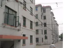 牡丹新村(金山) 2室1厅 南