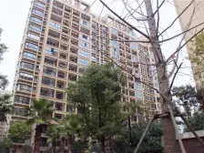 纯改善小区 位置佳 舒适度高 凤凰楼层 采光好 视野佳