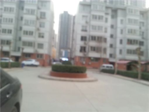 整租·任庄小区 1室0厅 南