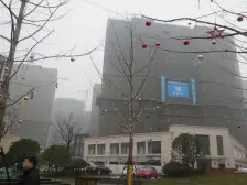 莱蒙都会洋房 带前后院双层地下室 自住装修 诚心卖