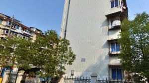 十六化建2室1厅南