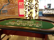 前滩南类独栋别墅300平下沉式大花园