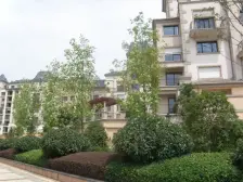 阿尔法国际社区 精装三房 好楼层 摩天轮旁