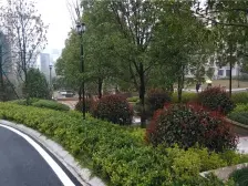 磨盘山公园旁洋房通透四房 物业费低 环境好 有钥匙