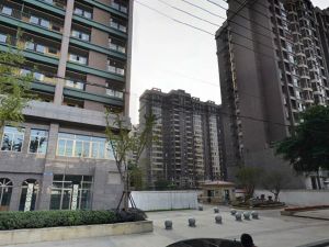神仙树大院五期2室1厅南