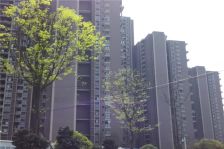 桂湖名城二期 2室1厅 东南