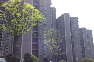 桂湖名城一期4室2厅南