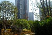 金山谷花园别墅 诚售精致五房带独立大花园 看房方便可拎包入住