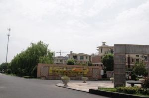 别墅,小区中间,有天有地有花园