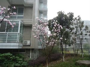 奥盛年华3室2厅南