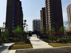 新上好房 婚装 电梯房 东首 适合年轻人