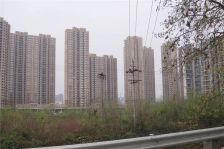 银滩 1室1厅 西南