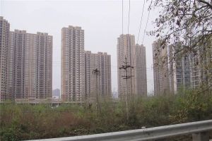银滩1室1厅东南