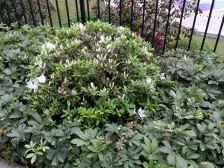 中铁北美时光 3室2厅 南 北