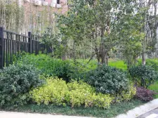 汇仁阳光花园二期 南北通透,采光好 视野好,诚心出售