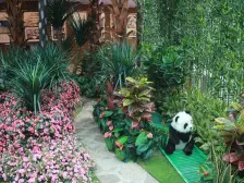 艾溪湖畔 自住装修看房方便 配套齐全